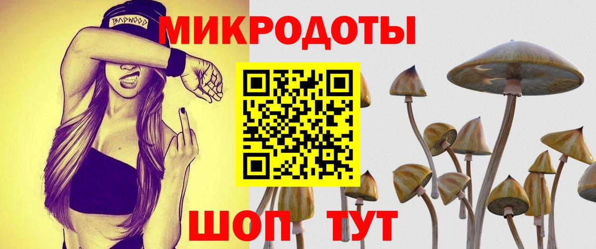 Галлюциногенные грибы Psilocybe  закладка  Севастополь  Вход с VPN 