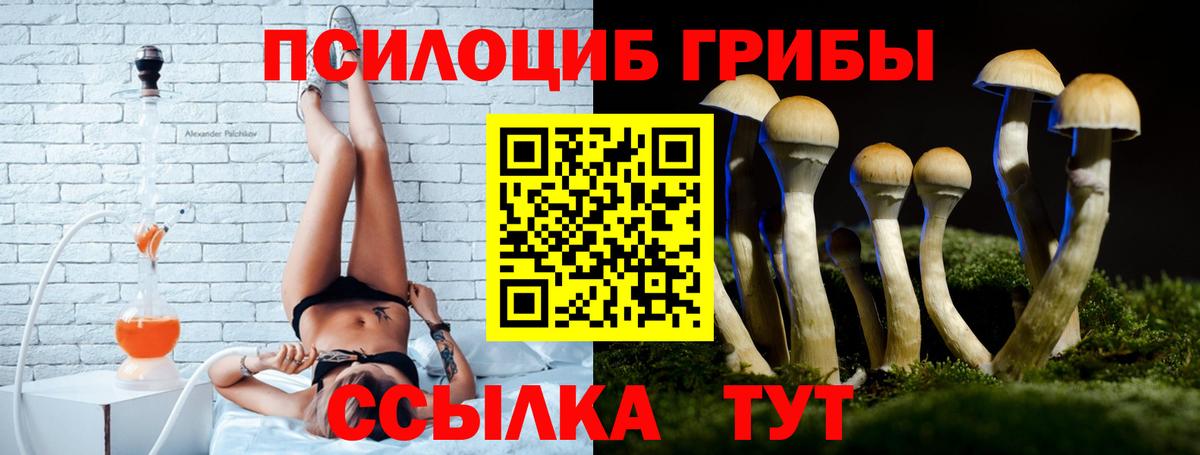 Псилоцибиновые грибы GOLDEN TEACHER Севастополь
